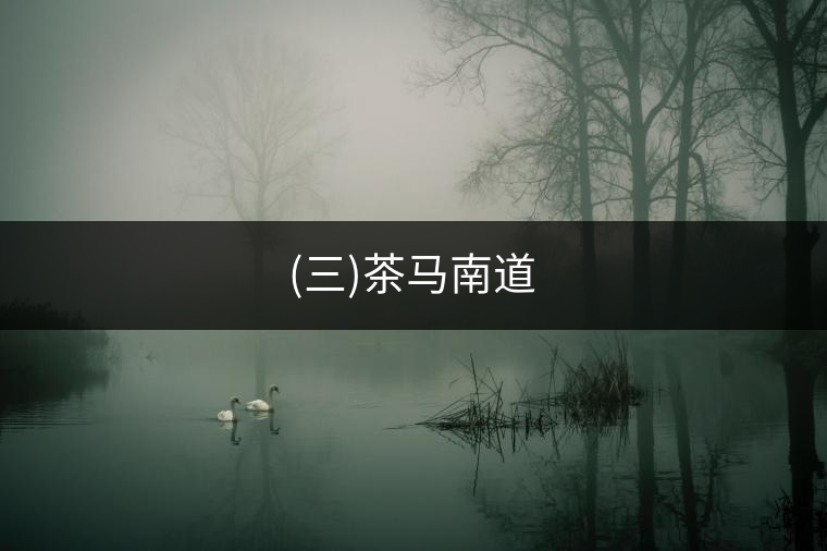 (三)茶馬南道
