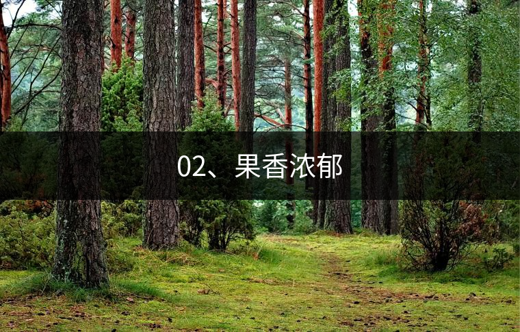 02、果香濃郁
