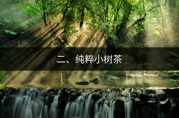 二、純粹小樹茶