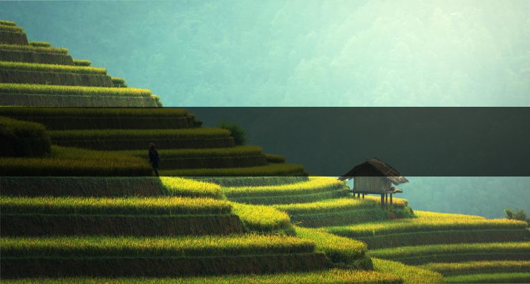 　　是什么支撐著一個(gè)家庭作坊式的小廠成長(zhǎng)為一個(gè)產(chǎn)值上億元的現(xiàn)代企業(yè)？