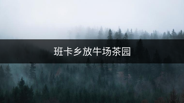 班卡鄉(xiāng)放牛場茶園 班卡鄉(xiāng)放牛場茶園