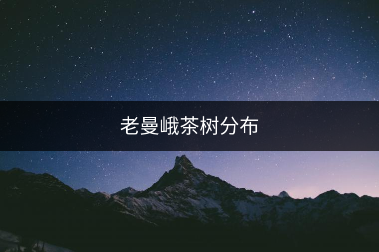 老曼峨茶樹分布 老曼峨茶樹分布