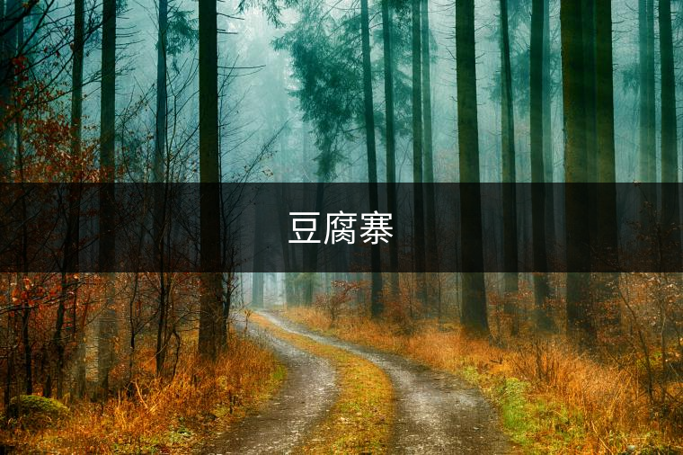 豆腐寨 豆腐寨