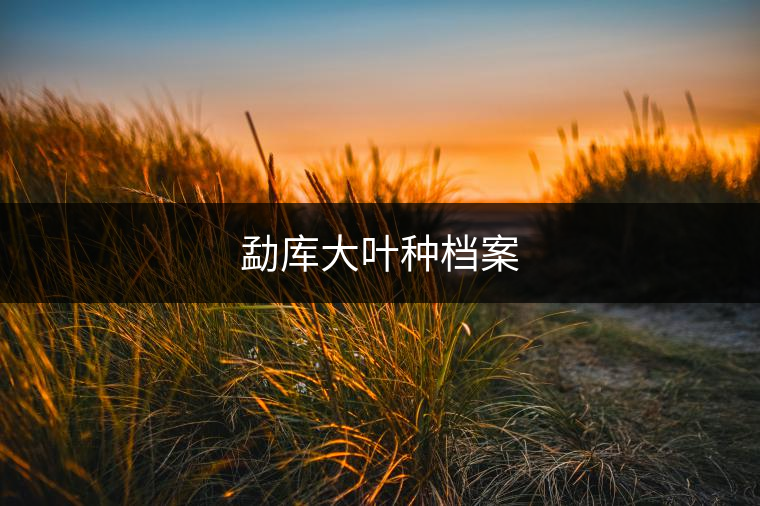 勐庫(kù)大葉種檔案