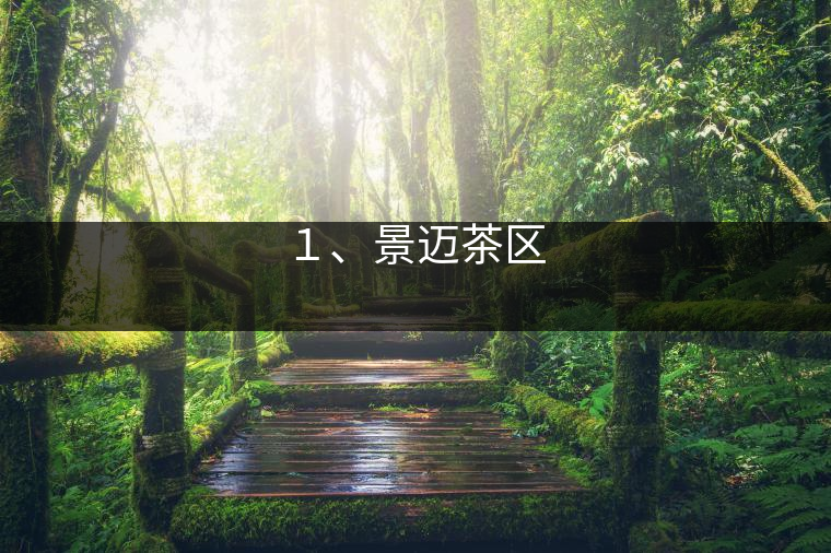 １、景邁茶區(qū)
?