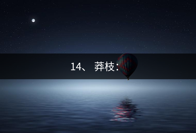 14、 莽枝：?