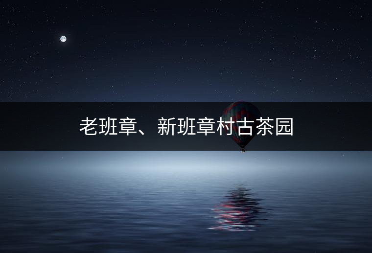 老班章、新班章村古茶園