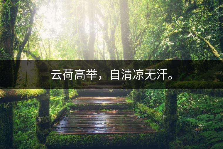 云荷高舉，自清涼無汗。