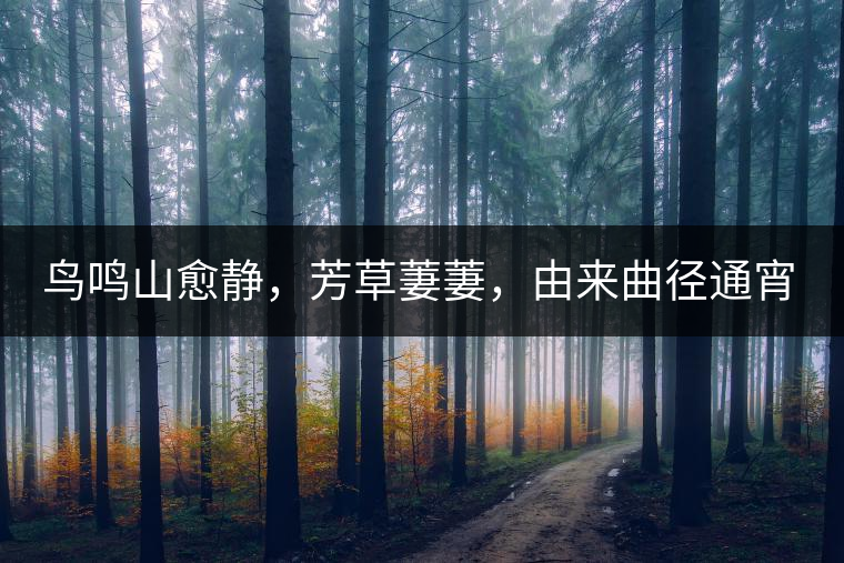 鳥鳴山愈靜，芳草萋萋，由來曲徑通宵漢。