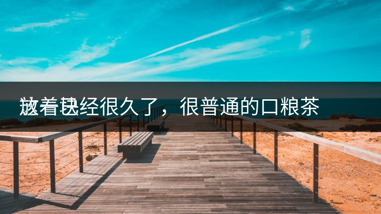 這一塊
放著已經(jīng)很久了，很普通的口糧茶，煙味很重，但回甘也可以，隨意喝喝吧。