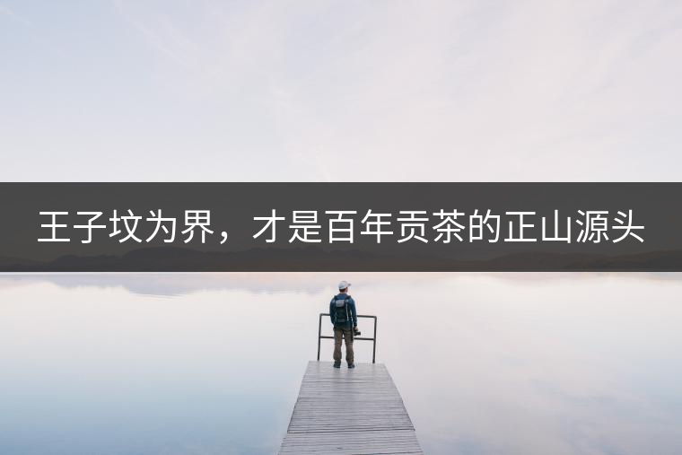 王子墳為界，才是百年貢茶的正山源頭