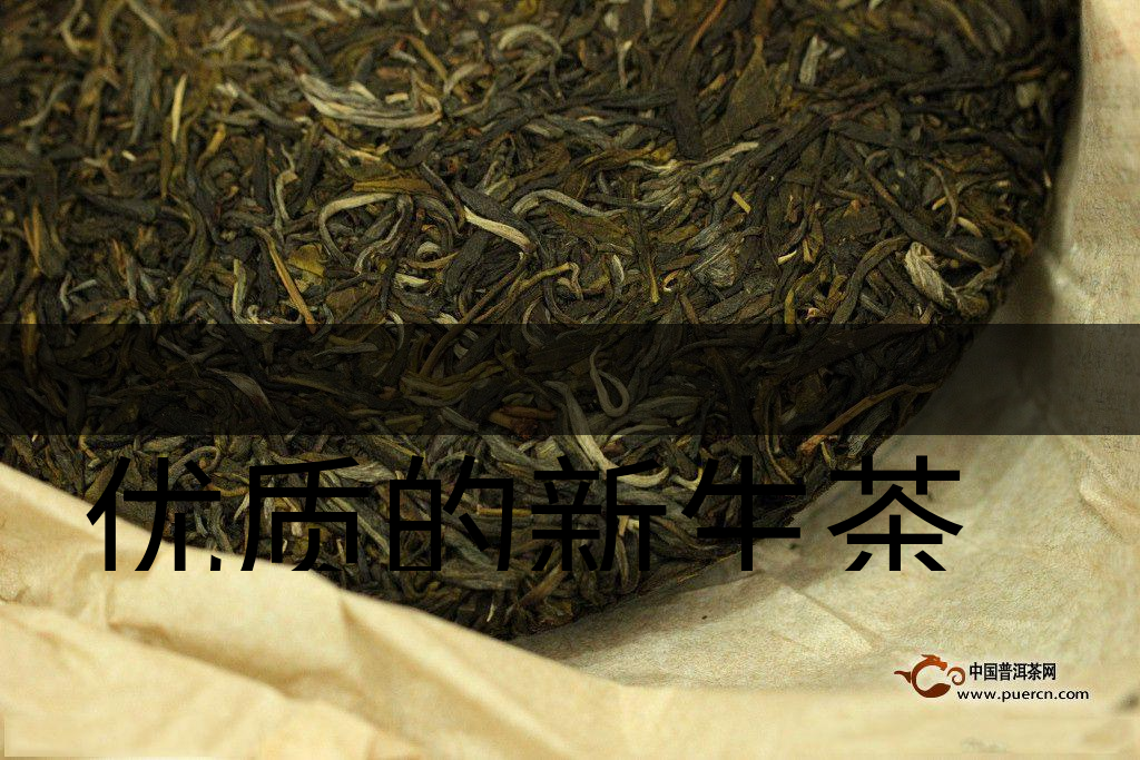 優(yōu)質(zhì)的新生茶是什么樣的？