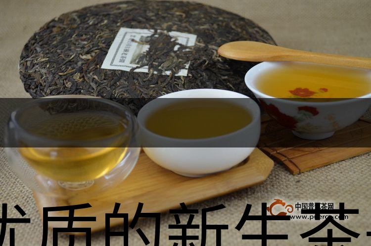優(yōu)質(zhì)的新生茶是什么樣的？-1