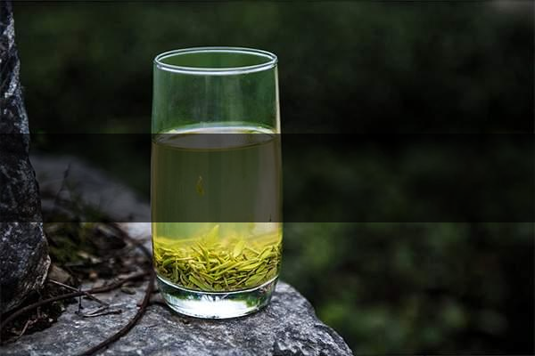 pick春茶攻略！