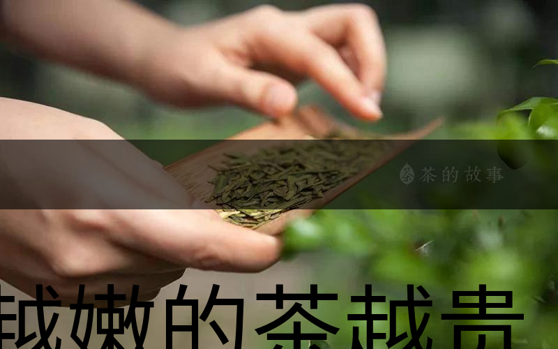 越嫩的茶越貴，但越貴的茶就越好嗎？