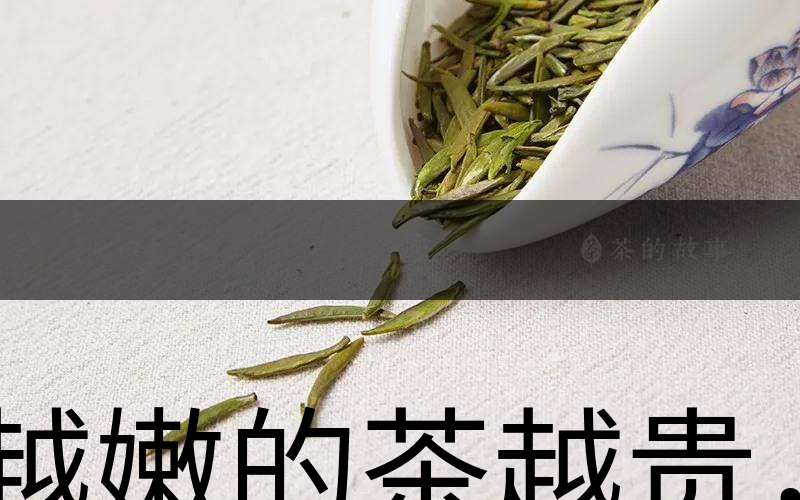 越嫩的茶越貴，但越貴的茶就越好嗎？-1