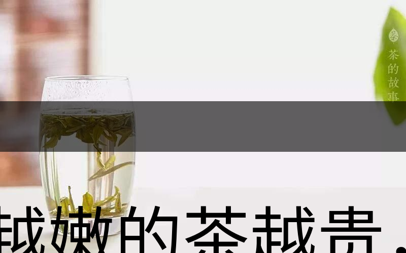 越嫩的茶越貴，但越貴的茶就越好嗎？-2