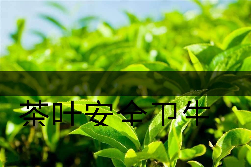 茶葉安全衛(wèi)生與我國相關(guān)法規(guī)管理體系簡述(叁)-1 茶葉安全衛(wèi)生與我國相關(guān)法規(guī)管理體系簡述(叁)-1