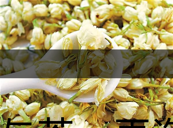 花與茶，再造茉莉之都——福州-1