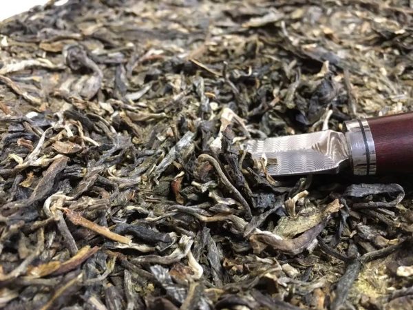 怎么樣泡好落水洞普洱茶？