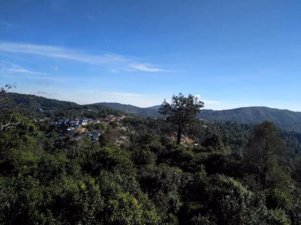 蘭香賀開，甘甜賀開