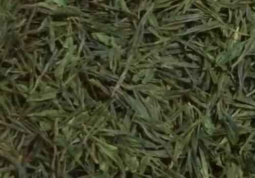 什么是海青茶？沖泡手法詳細(xì)教學(xué)！