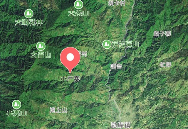 2021年小戶賽古樹秋茶有什么特點(diǎn)？