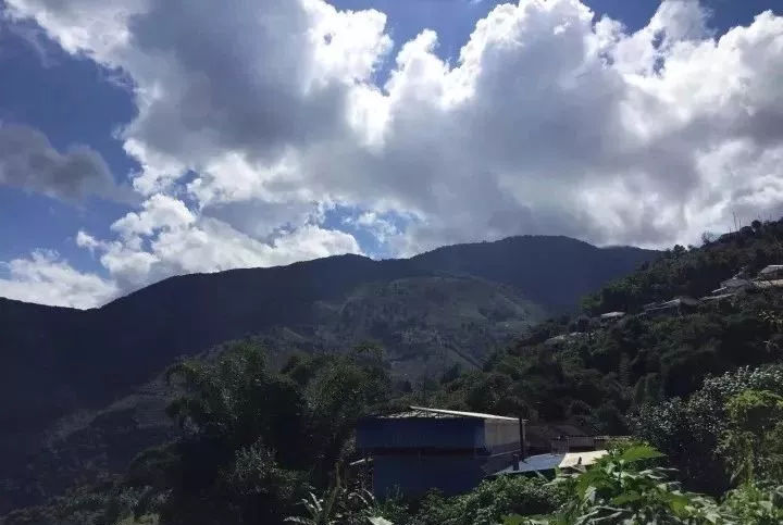 2021年小戶賽古樹秋茶品鑒報(bào)告