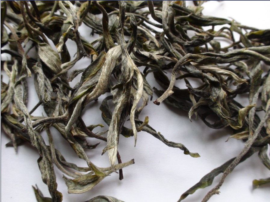 2021年馬鞍山古樹秋茶價格？