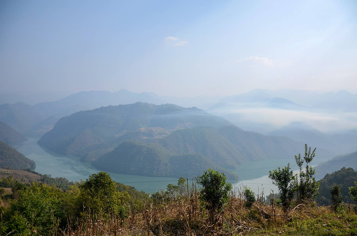 2021年白鶯山古樹秋茶，佛茶有什么魅力？