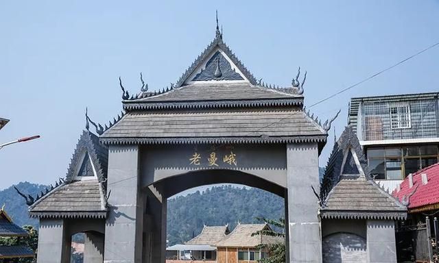 2021年老曼峨古樹秋茶特點？