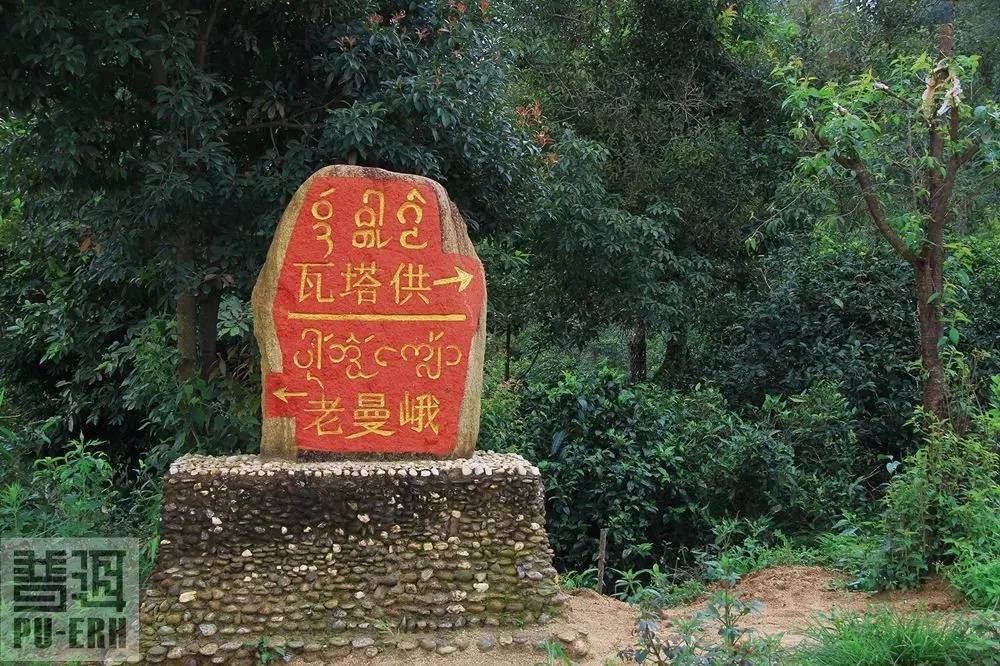 2021年老曼峨古樹秋茶價格多少？