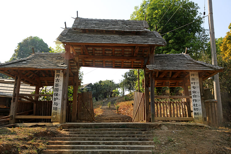 2021年賀開(kāi)古樹(shù)秋茶特點(diǎn)？