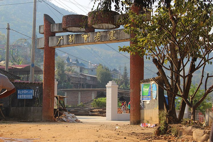 2021年廣別老寨古樹(shù)秋茶口感？