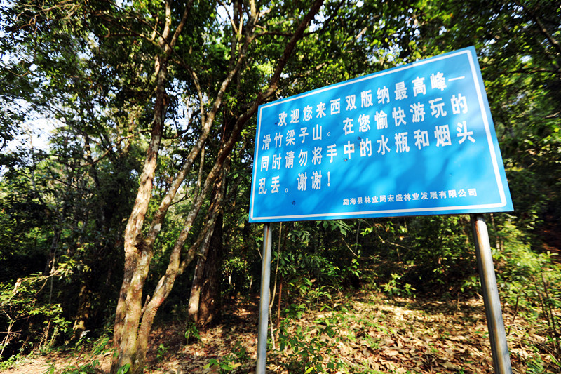 2021年滑竹梁子古樹秋茶價格？