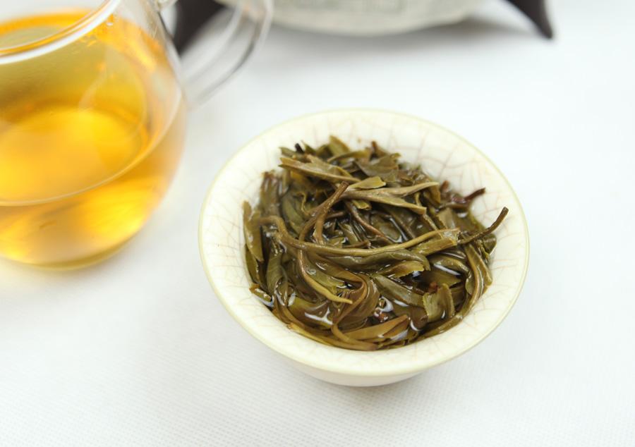 2021年南糯山是最好的茶拔瑪老寨