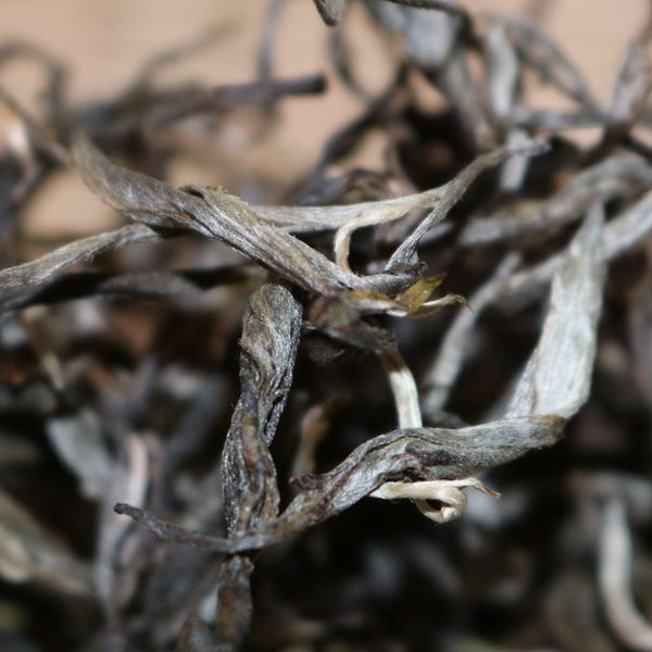 2021年帕沙古樹秋茶，你了解多少？