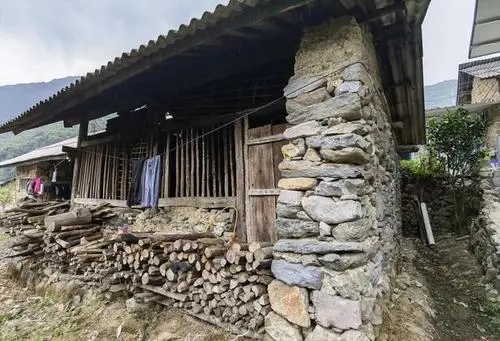 2022年景谷黃草壩古樹春茶特點(diǎn)是什么？