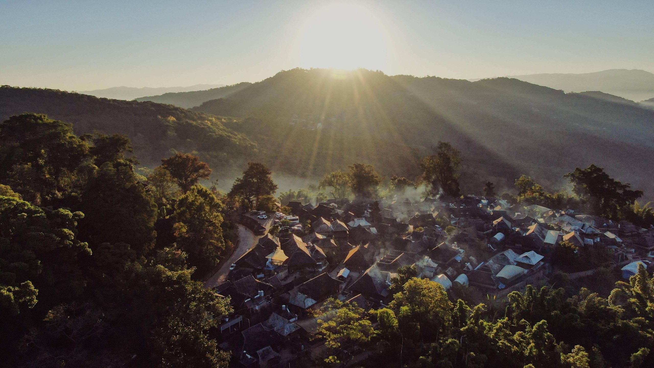 2022年景邁山古樹春茶特點？