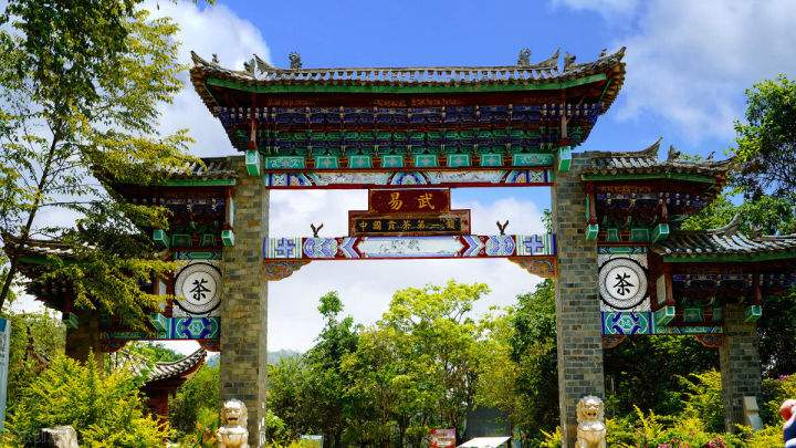 2022年易武正山在哪？易武正山是什么意思？