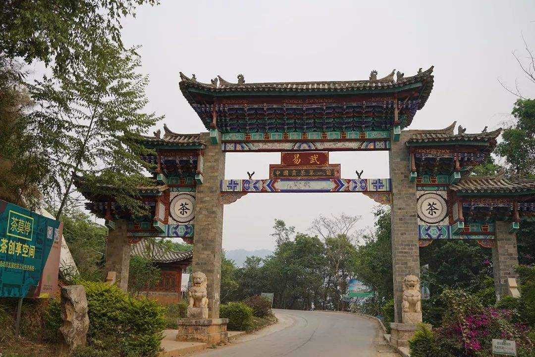 2022年易武正山古樹春茶特點(diǎn)？