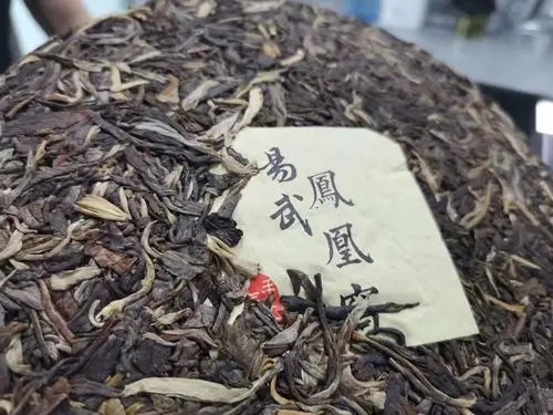 2022年鳳凰窩古樹高桿，鳳凰筑巢的地方