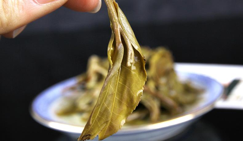 2022年冷水河古樹春茶價(jià)格？