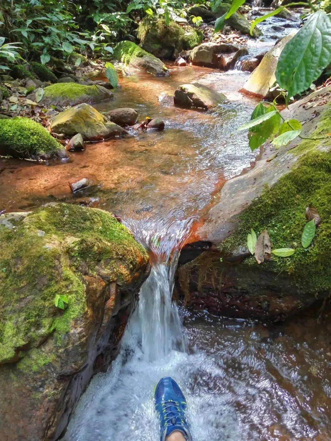 2022年銅箐河古樹春茶多少錢一公斤？