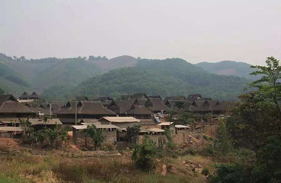 2022年革登古樹春茶特點？