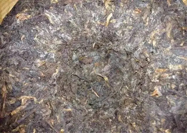 2022年普洱茶受潮發(fā)霉了怎么辦？