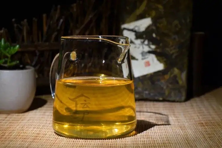 有茶油的普洱茶正常嗎？茶油是如何形成的？