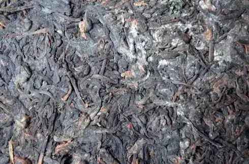 普洱茶泡了之后有霉味怎么辦？