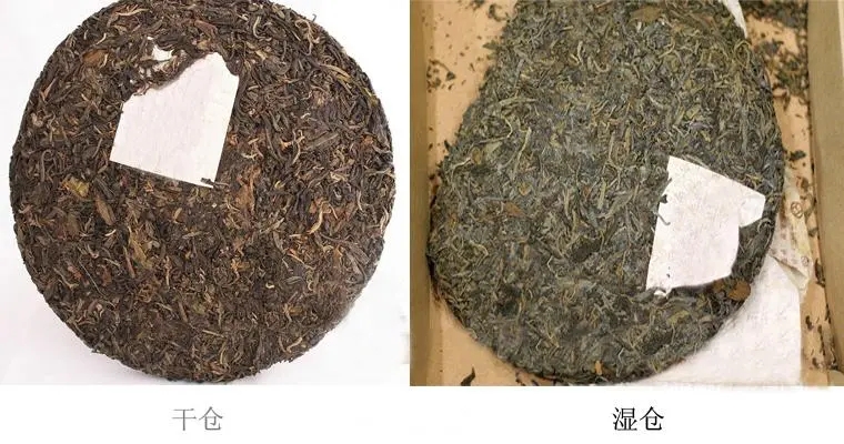 普洱茶怎么分辨干濕倉？