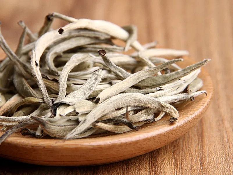 福鼎白茶、安吉白茶、云南月光白“三白”的區(qū)別